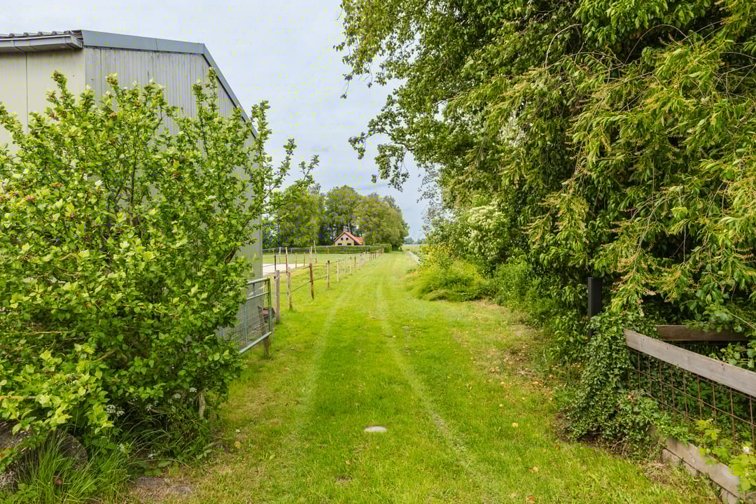 Foto 26 van Hegedyk 36