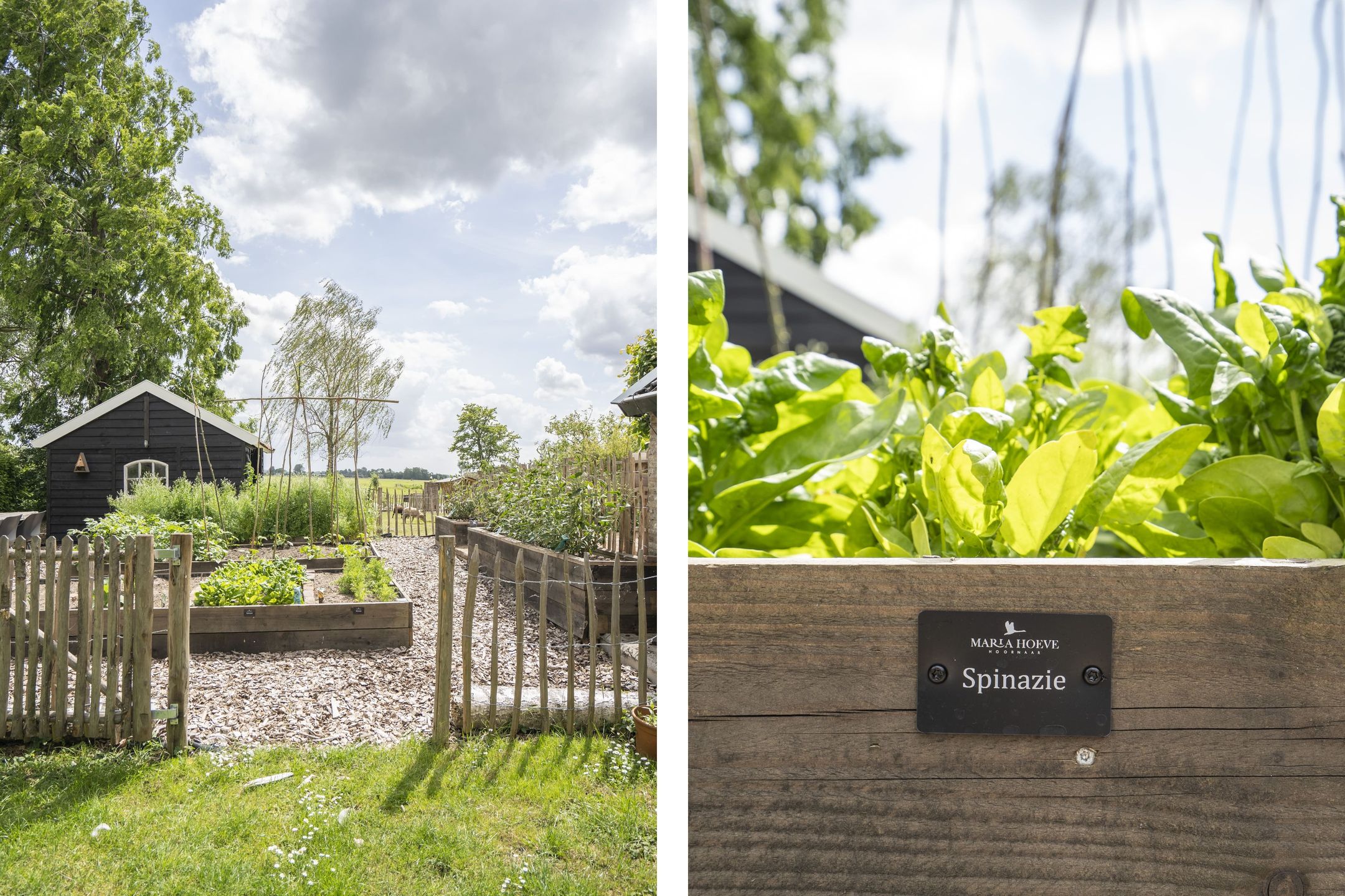 Photo 66 of Lage Giessen 16