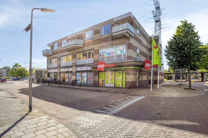 Foto 42 van Frans Halsstraat 8