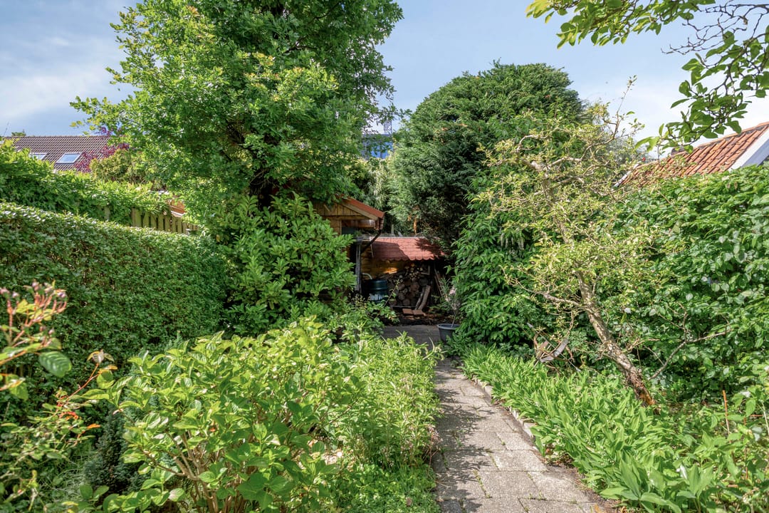 Foto 16 van Frans Halsstraat 8