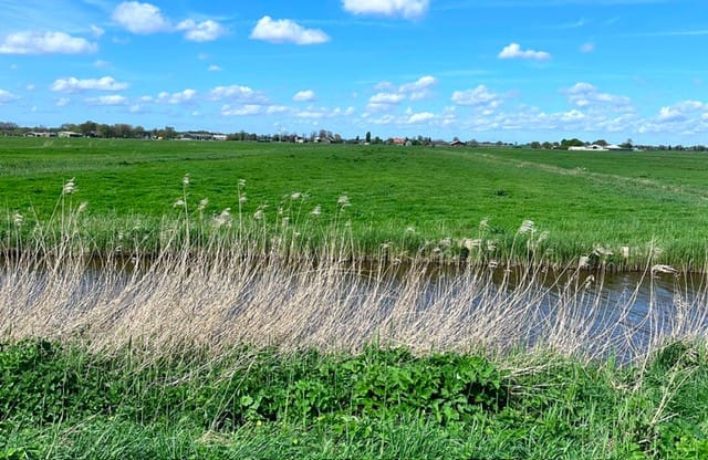 Photo 4 of Middenweg 2