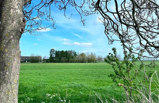 Photo 14 of Middenweg 2