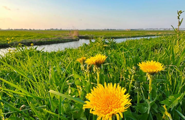 Photo 7 of Middenweg 2