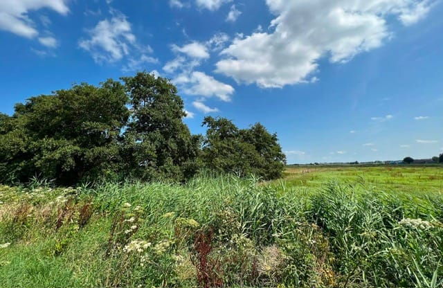 Photo 16 of Middenweg 2