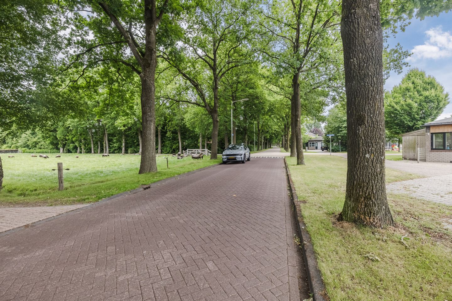 Foto 4 van Oosterveen 21-K