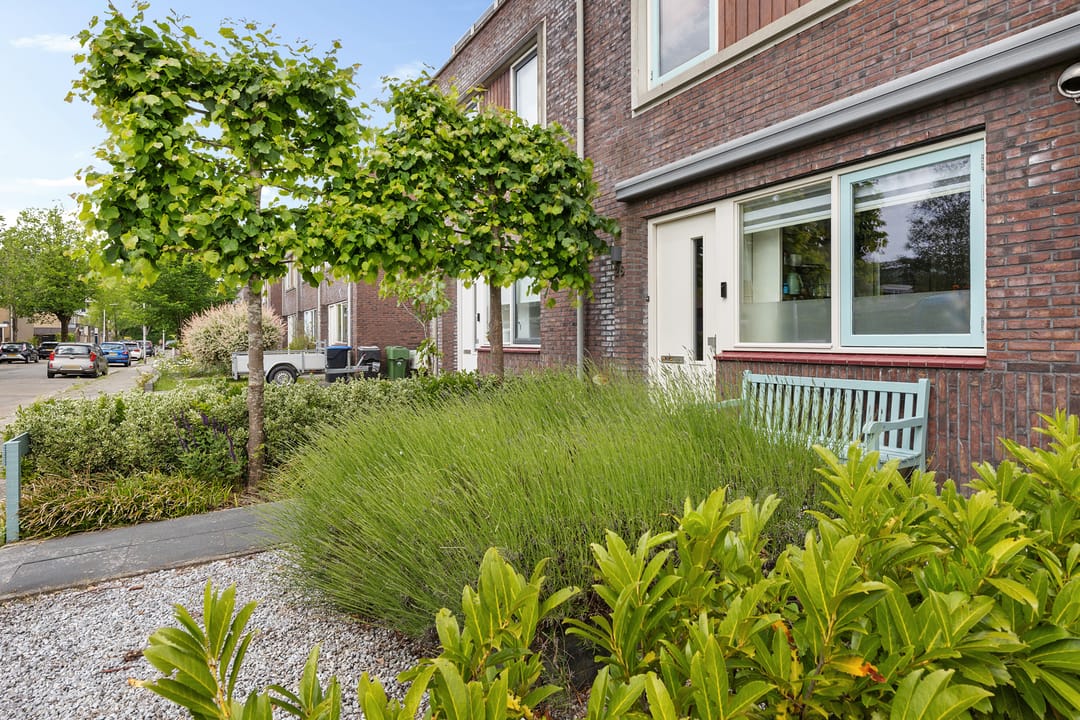 Foto 37 van Skrok 25