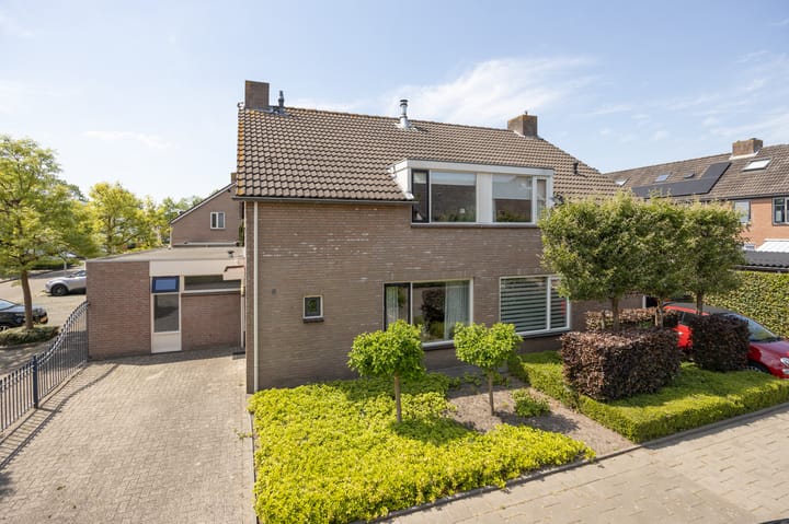 Patrijs 6