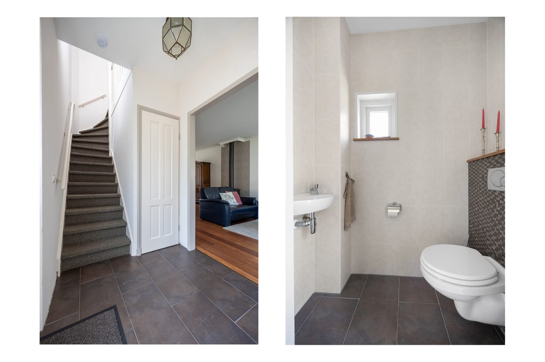 Photo 7 of Patrijs 6