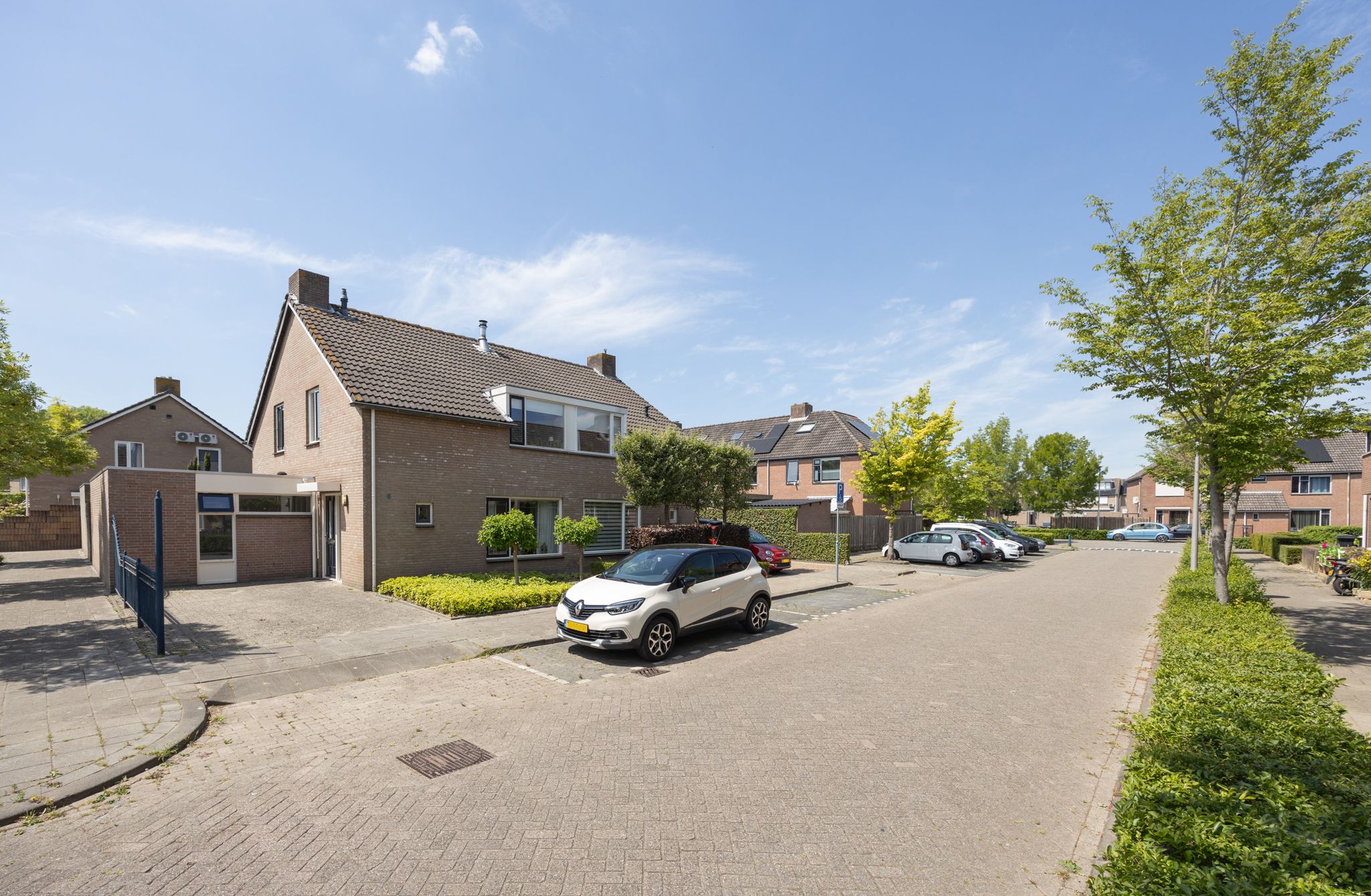 Photo 39 of Patrijs 6