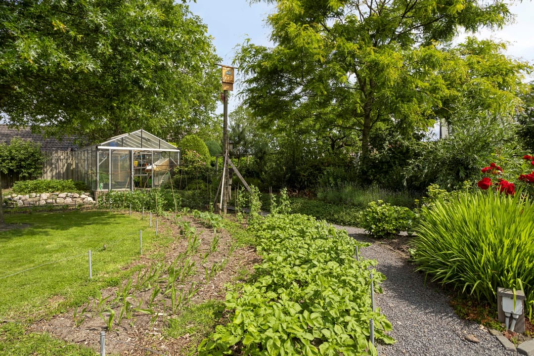 Foto 37 van Zandoerleseweg 50