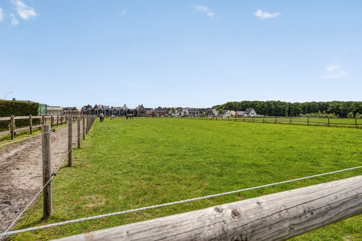 Foto 45 van Zandoerleseweg 52