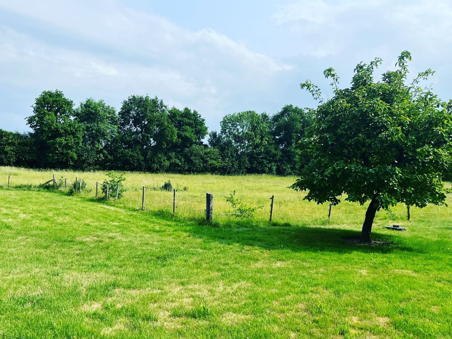 Foto 4 van Kersweg 32