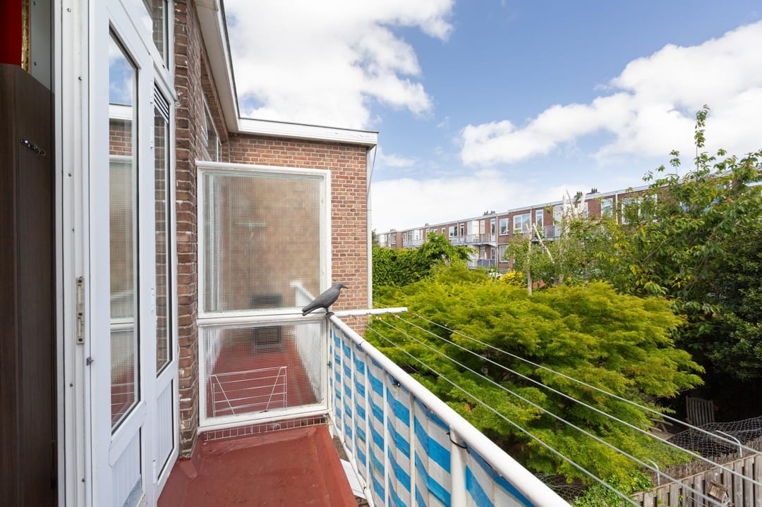 Foto 38 van Laan van Eik en Duinen 191