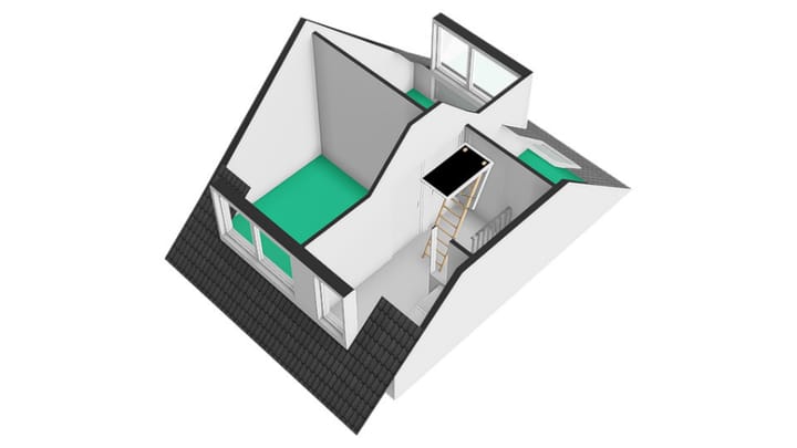 Foto 50 van Leidekkersgilde 29