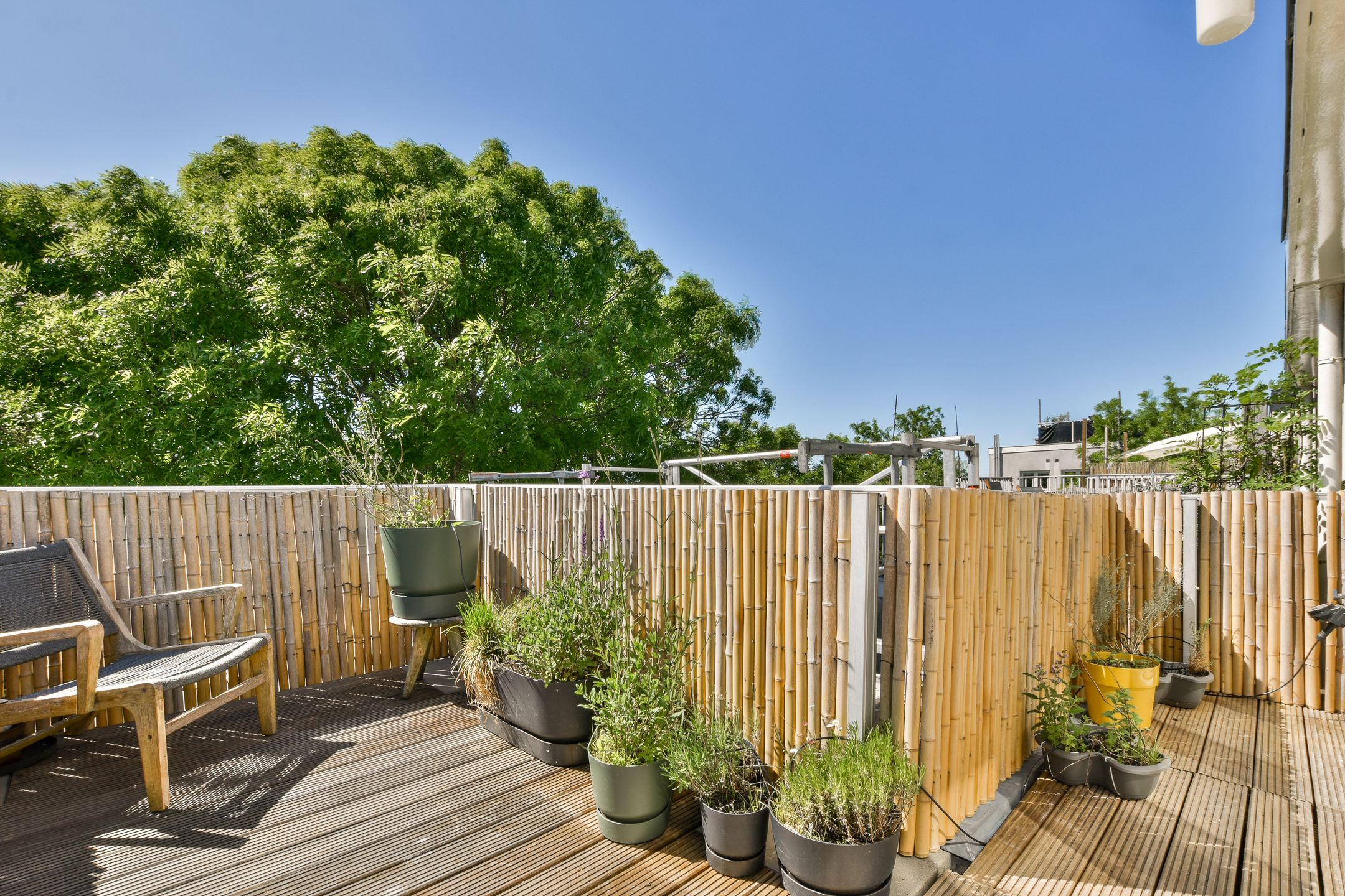 Foto 3 van Van Bossestraat 16-3