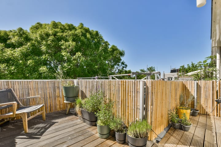 Foto 3 van Van Bossestraat 16-3