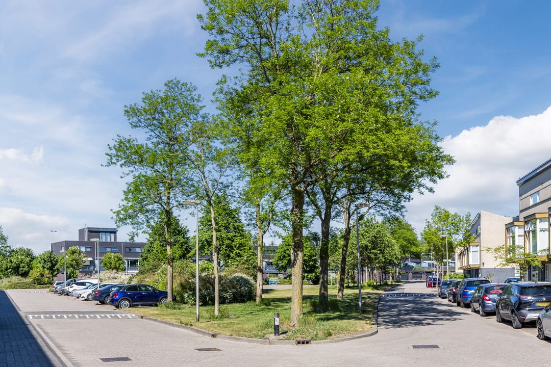 Foto 37 van Alligatorstraat 21