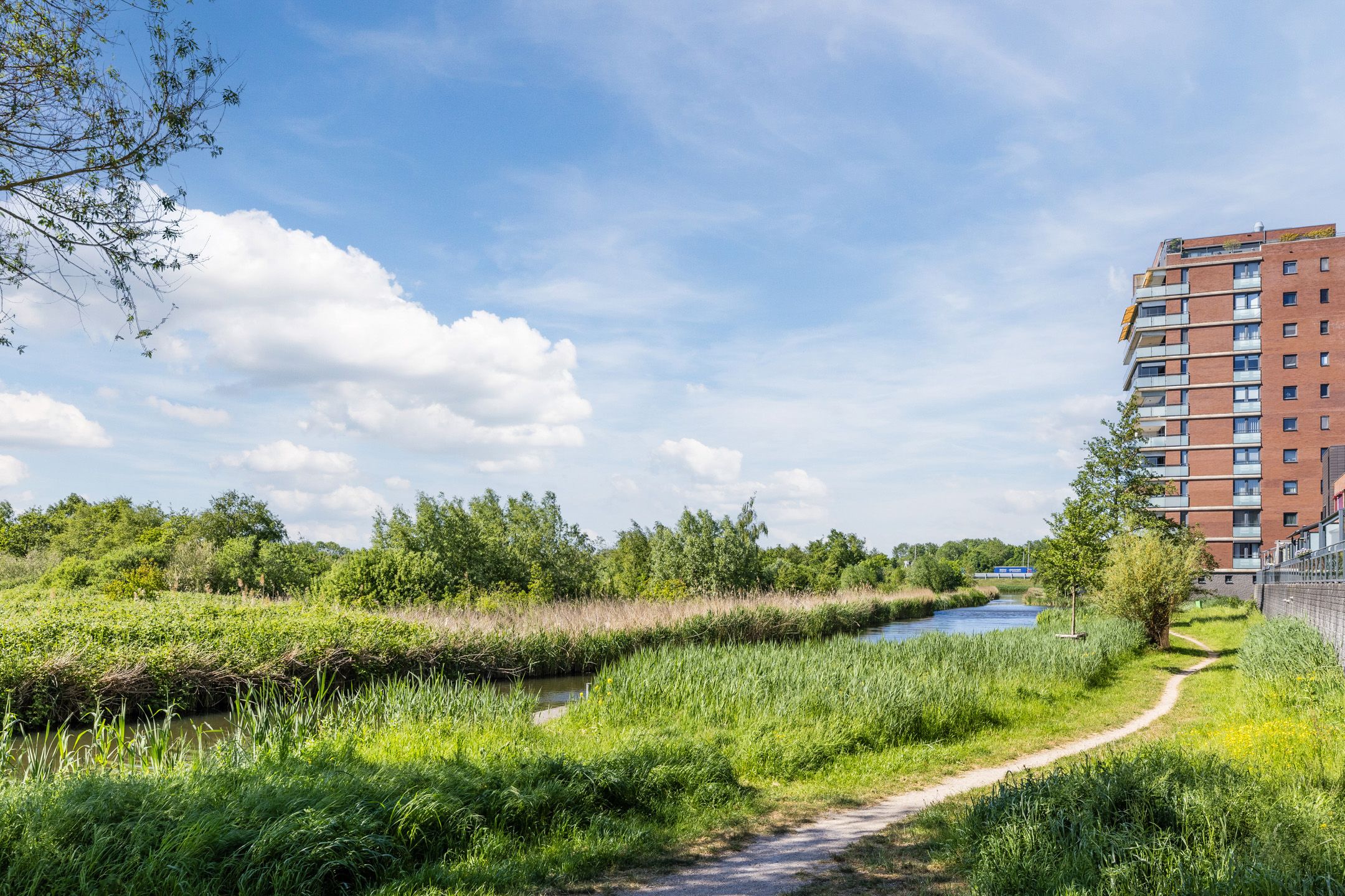 Foto 39 van Alligatorstraat 21