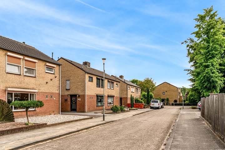 Foto 33 van Rogbloempad 8