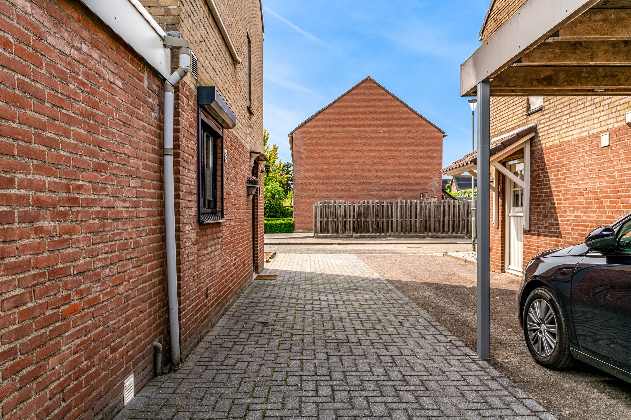 Foto 42 van Rogbloempad 8