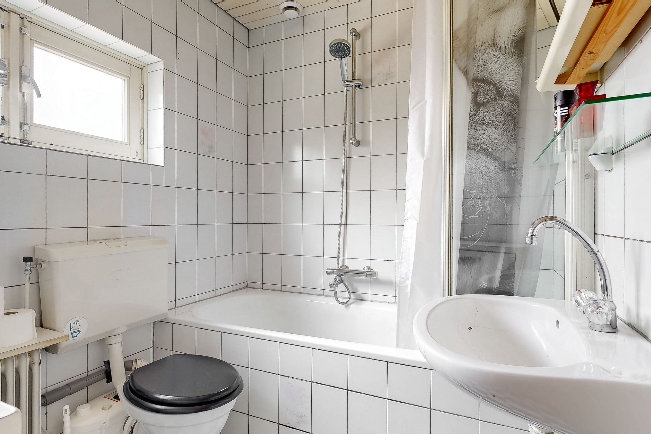 Foto 27 van Rogbloempad 8