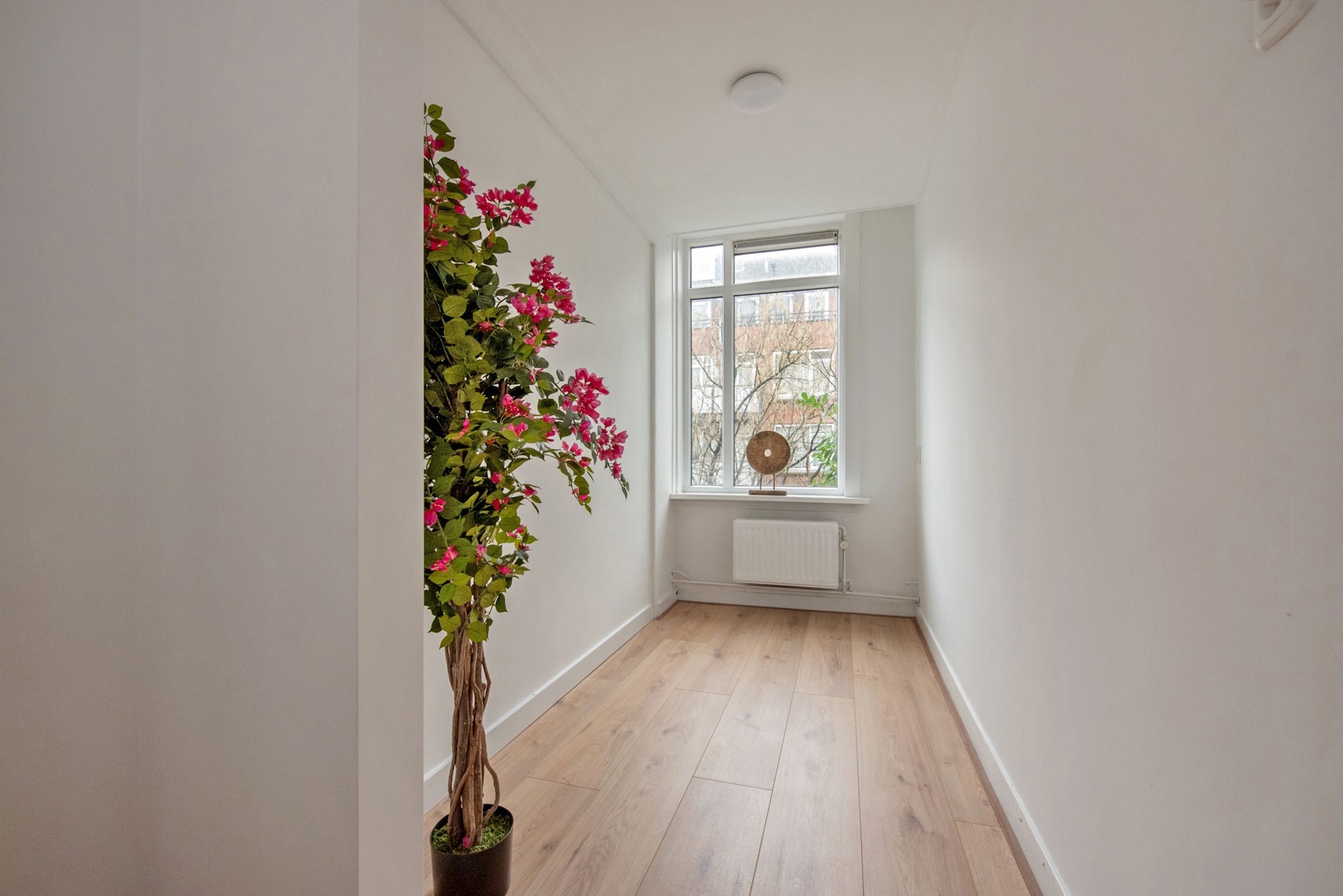 Foto 24 van Schiedamseweg Beneden 517-B