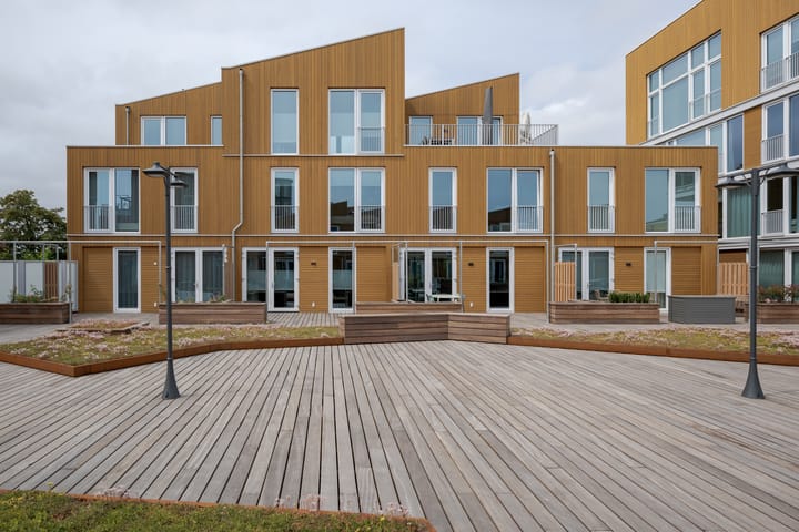 Foto 5 van Nelson Mandelapad 12