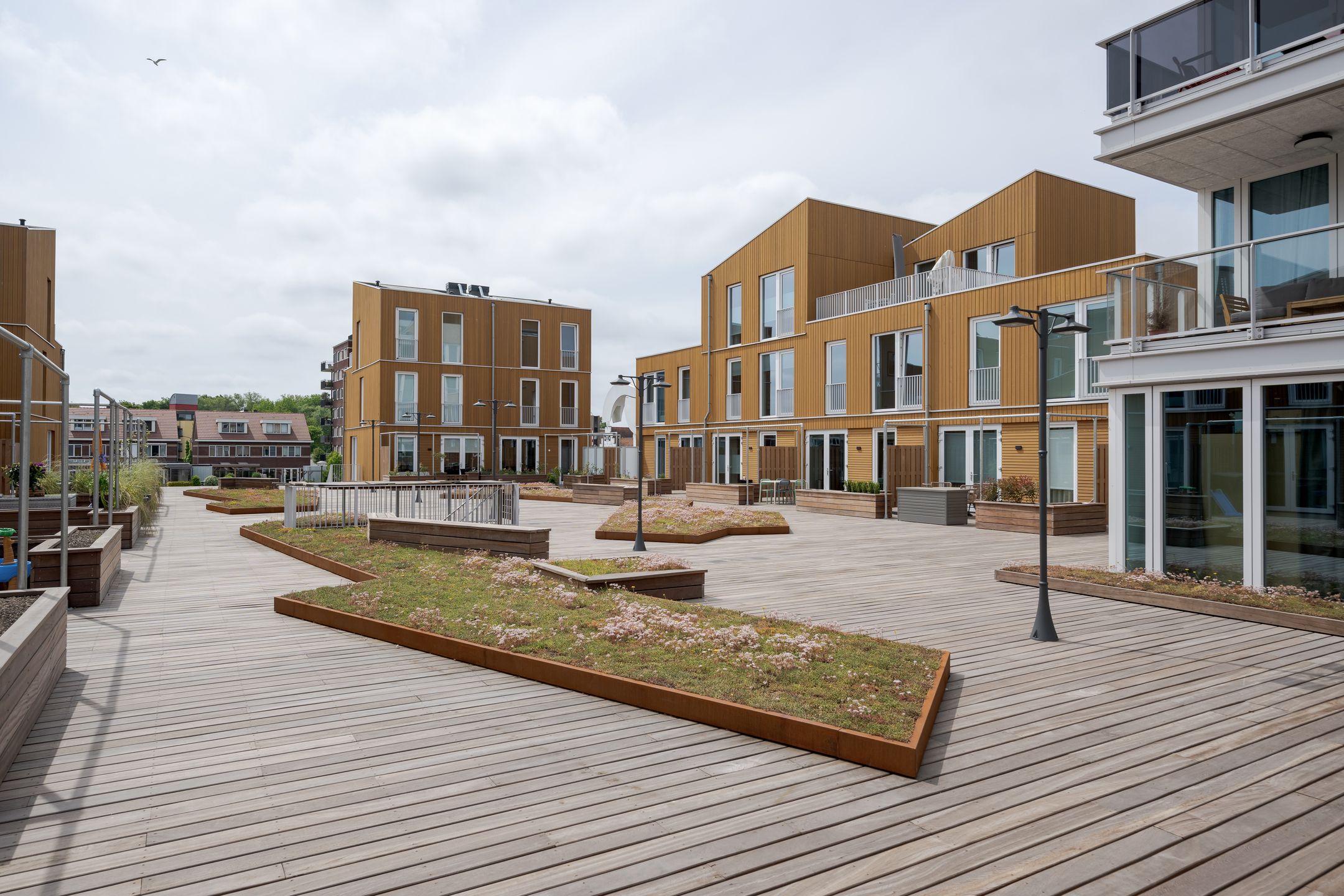 Photo 39 of Nelson Mandelapad 12