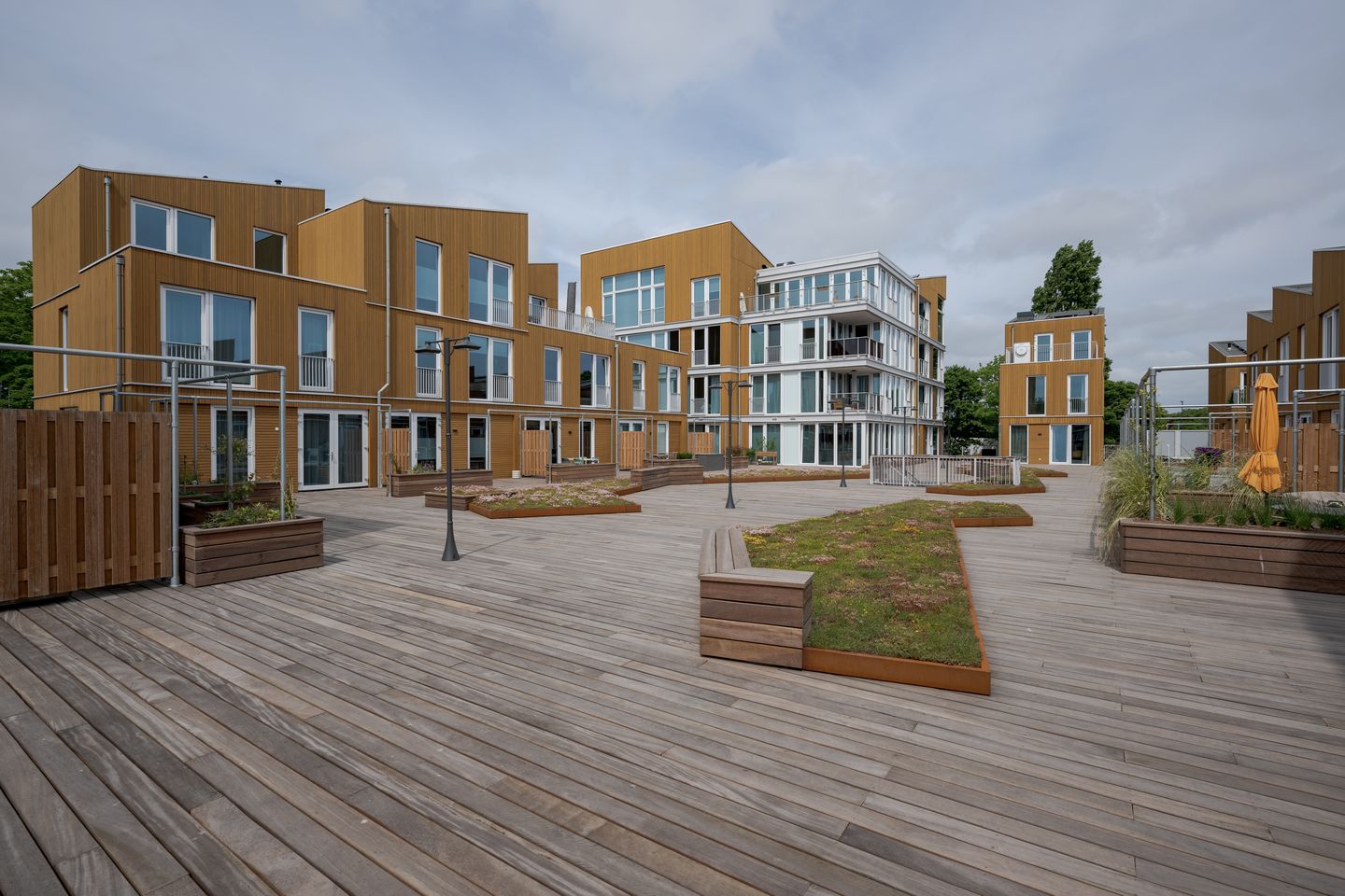 Photo 40 of Nelson Mandelapad 12