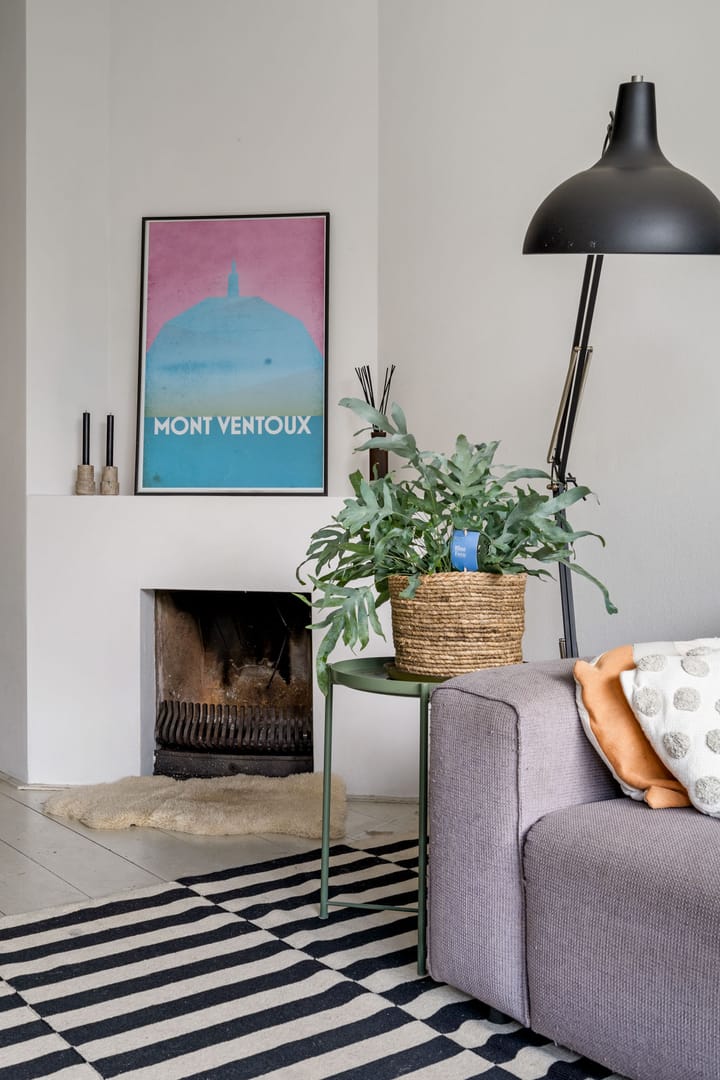 Foto 13 van Irenestraat 6