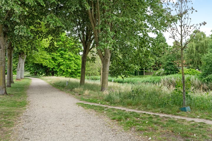 Foto 55 van Irenestraat 6