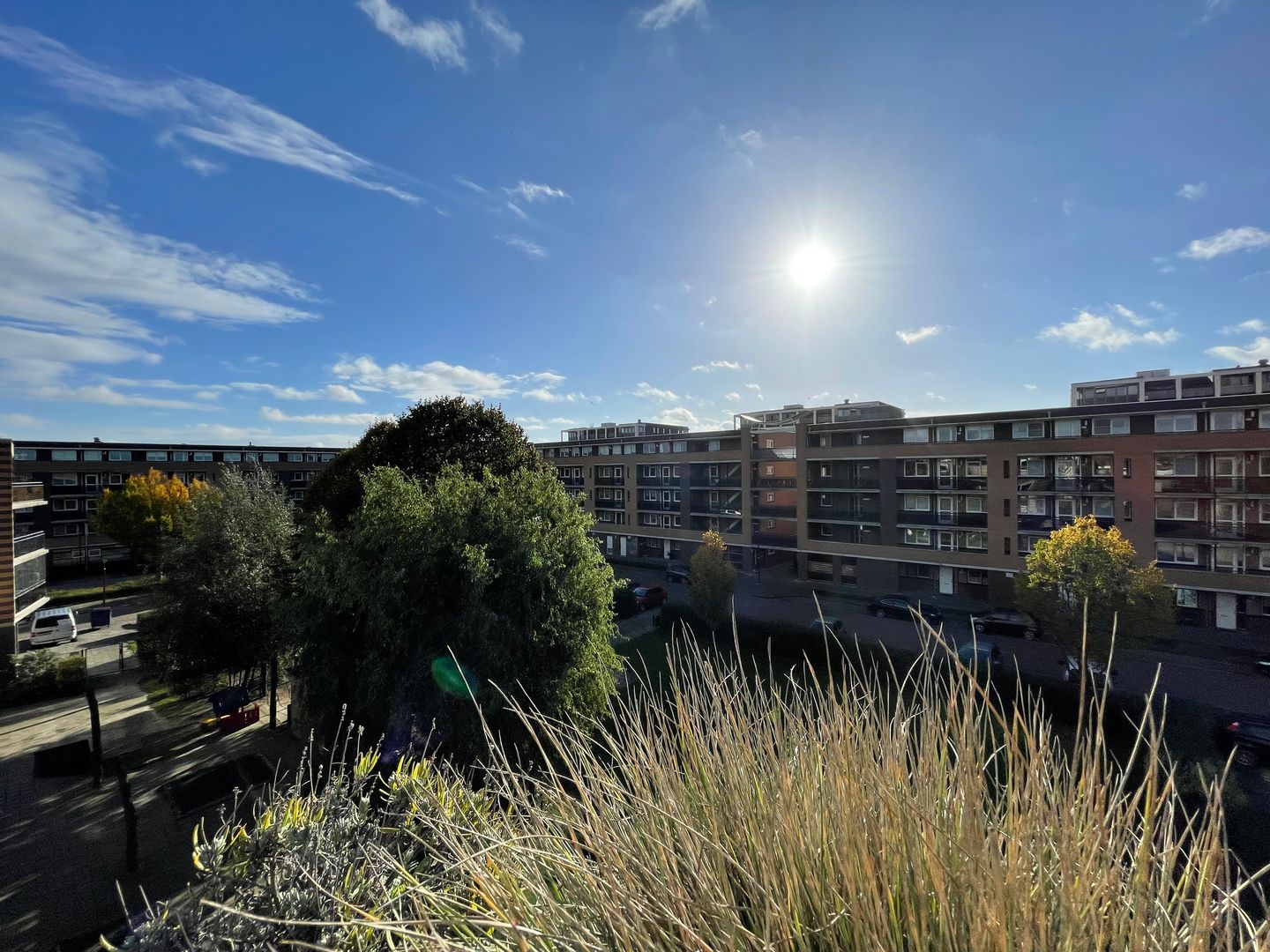 Photo 25 of Abraham Kuyperpark 195