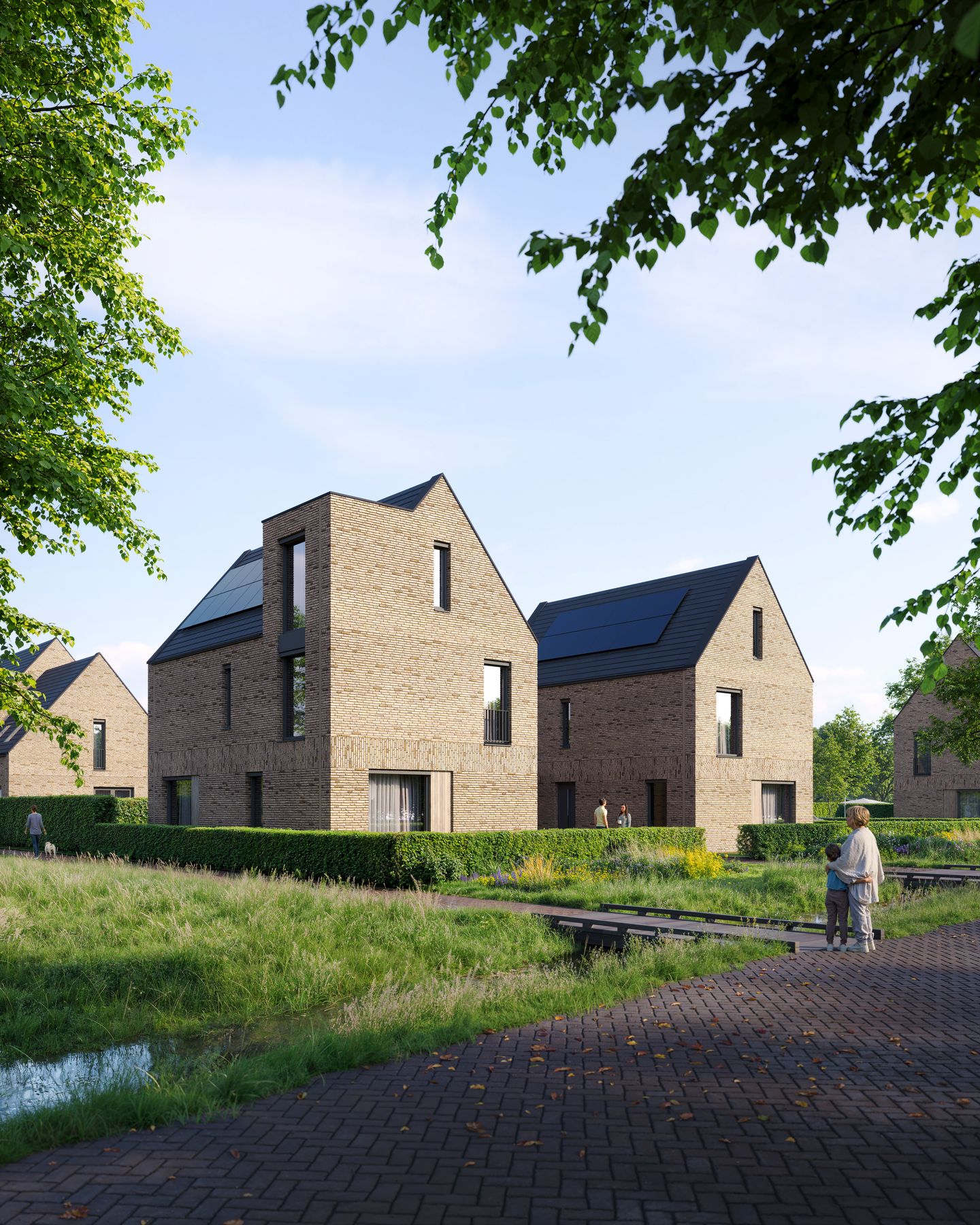 Photo 2 of Terra Nova