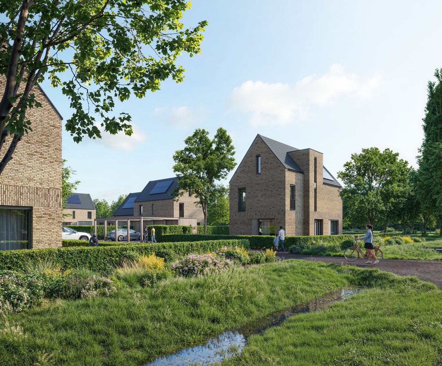 Photo 5 of Terra Nova