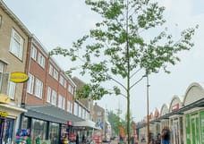 huurwoningen te huur op Diezestraat 46