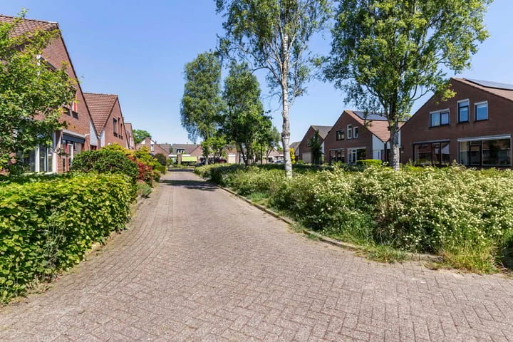 Foto 25 van Zuiderlaan 45