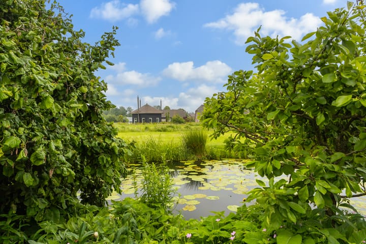 Foto 52 van Hoofdweg 122