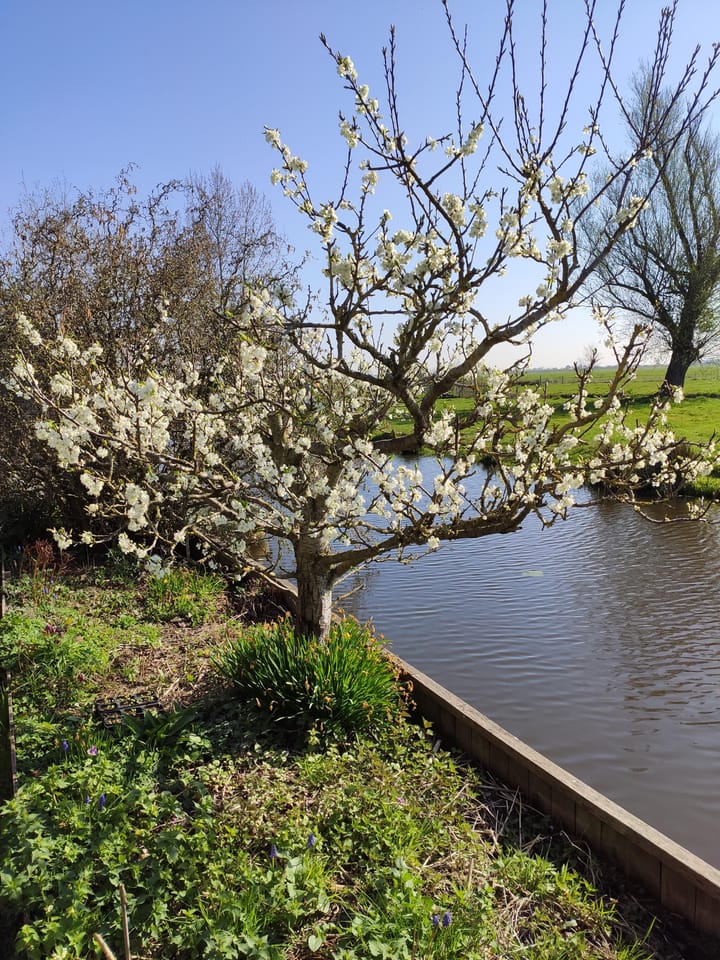 Foto 54 van Hoofdweg 122