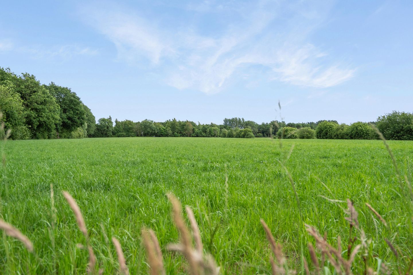 Foto 49 van Koekoeksweg 14