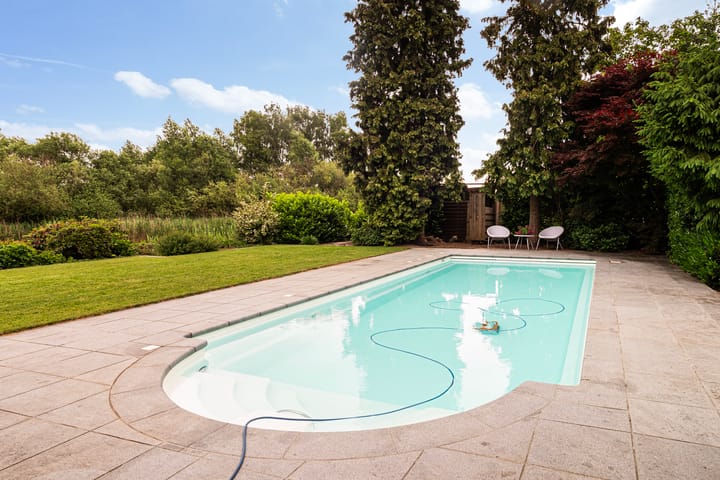 Foto 3 van Lijsterbeslaan 15