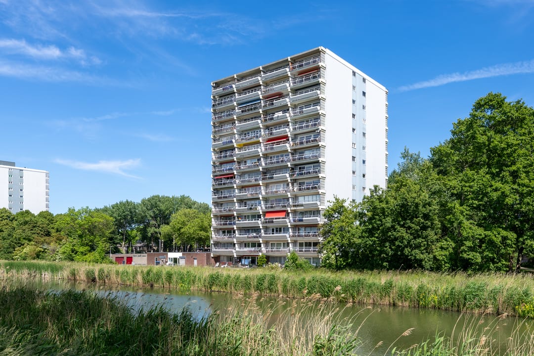 Foto 7 van Burgemeester D. Kooimanweg 659