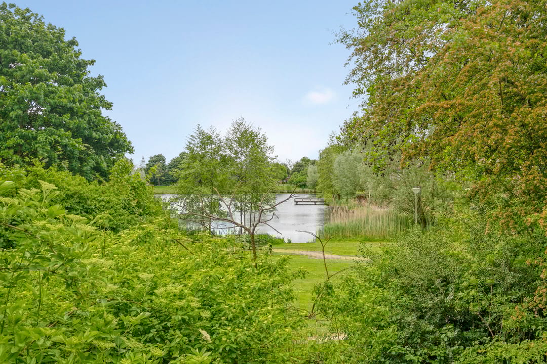 Foto 8 van Ampsen 42