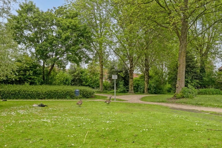 Foto 27 van Ampsen 42