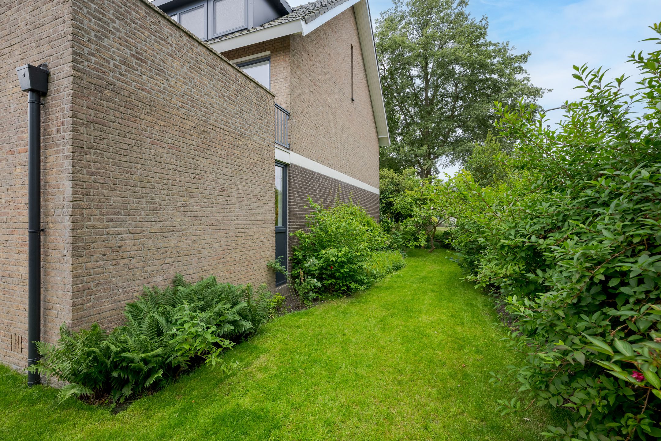 Foto 51 van Rouboslaan 28