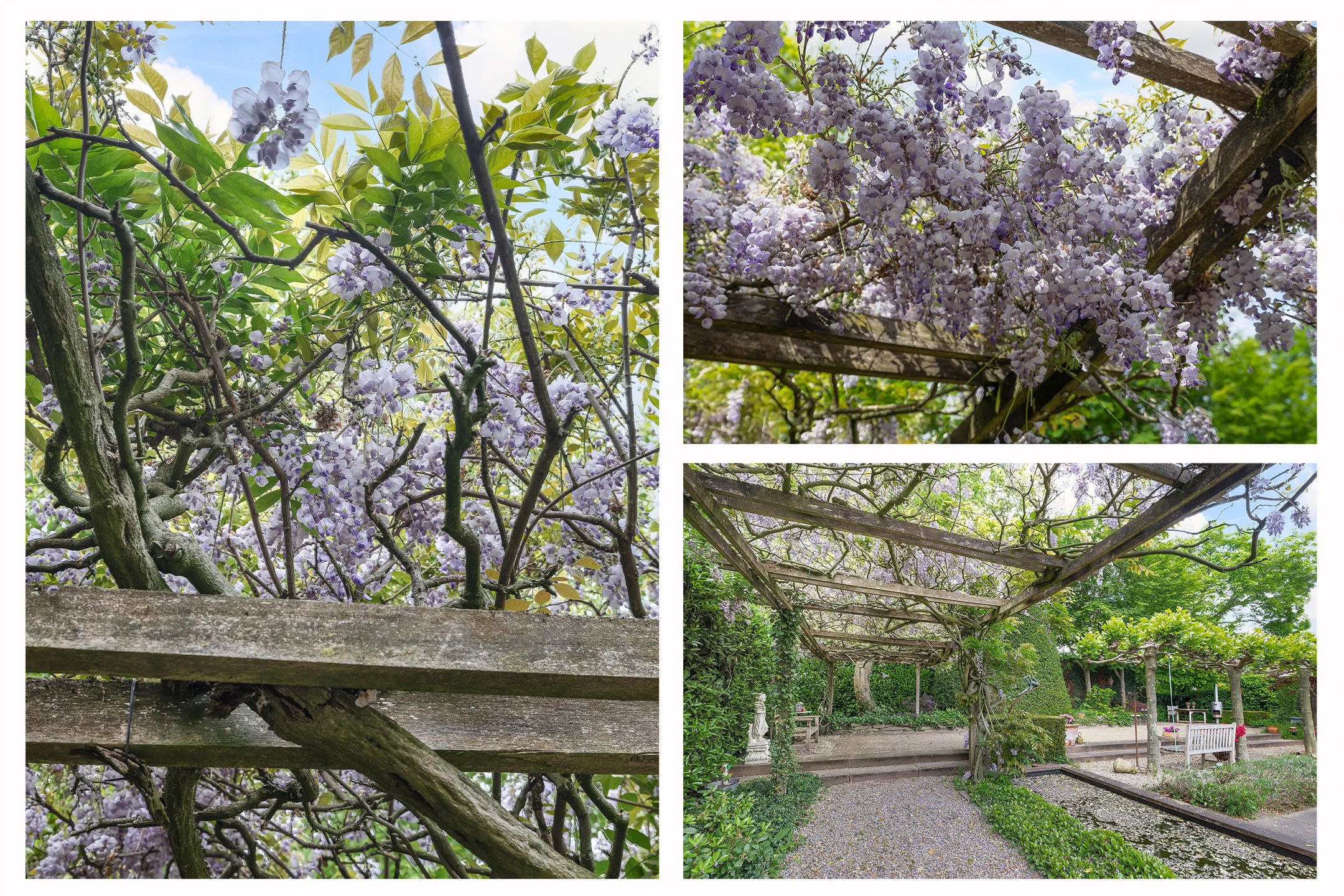 Foto 42 van Hezelaarstraat 66