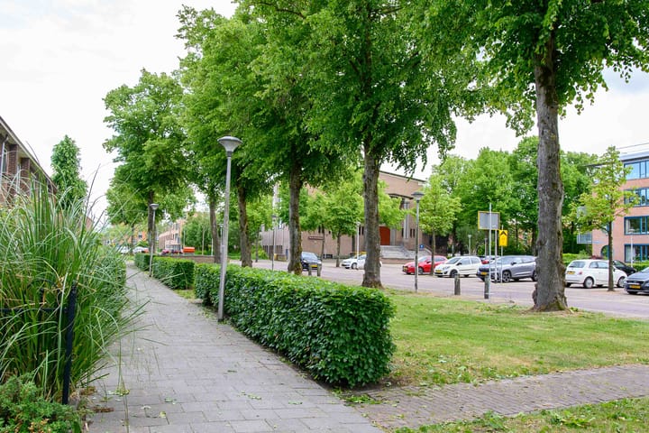 Foto 39 van Cornelis Dirkszplein 2