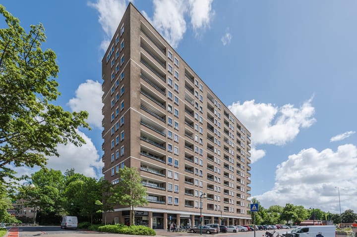 Foto 5 van Lijtweg 1003