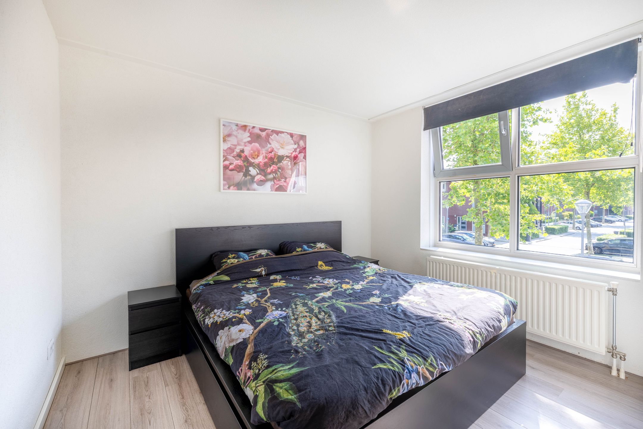 Foto 12 van Mambo 44