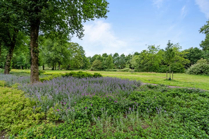 Foto 40 van Jamaicadreef 43