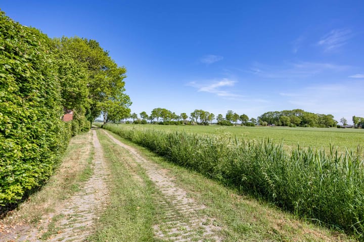 Foto 20 van Wolddijk 71